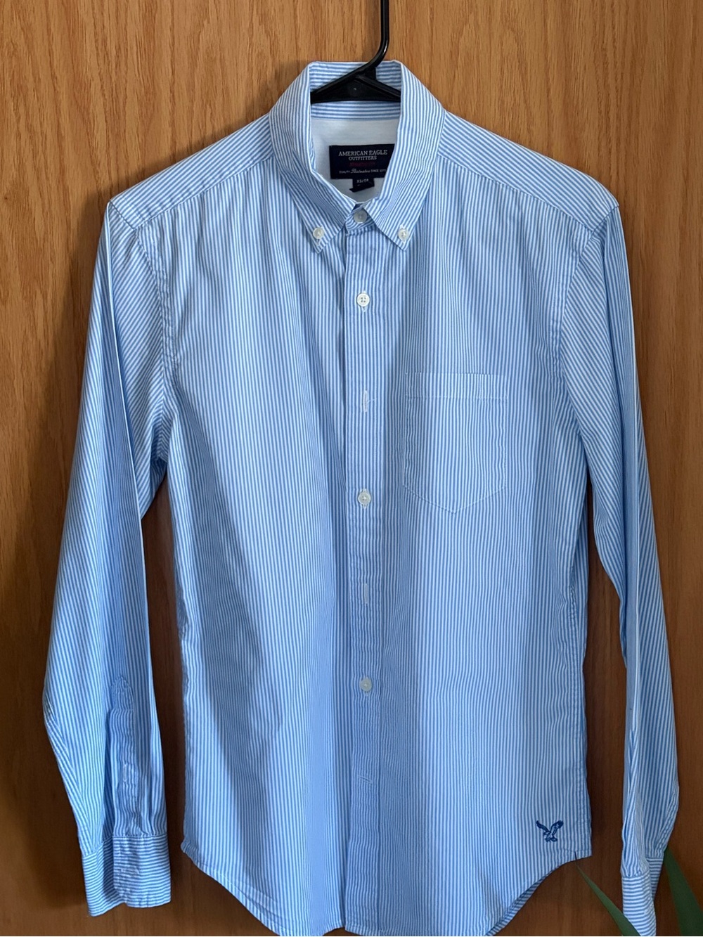 American Eagle Outfitters Blue and White Striped Button-Down Shirt